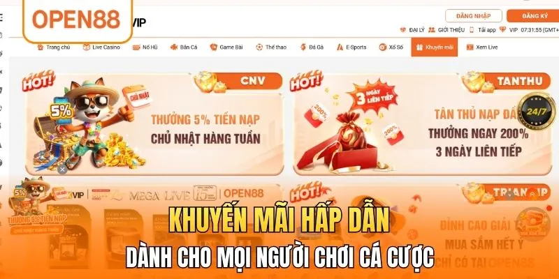Khuyến mãi hấp dẫn dành cho mọi người chơi cá cược 